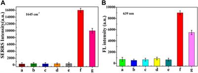 Dual-functional SERRS and fluorescent aptamer sensor for abscisic acid detection via charged gold nanorods